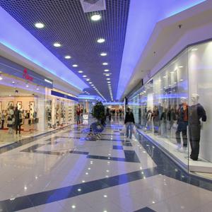Торговые центры Александро-Невского